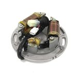 Статор SPI для Yamaha — миниатюра 1