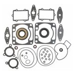 Комплект прокладок полный SPI для Arctic Cat 600LC — миниатюра 1