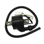Катушка зажигания SPI для Arctic Cat/Polaris — миниатюра 1